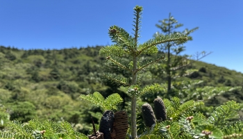 thumbimg